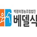 백령다시마