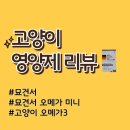 달고양이 | 고양이 영양제 : 묘견서 오메가3 미니 후기(내돈내산, 두달 째 급여중)