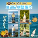 완도특산 | 보길도에서 직접 사서 마셔본 완도 특산 막걸리 4종 솔직 리뷰