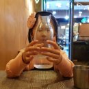 더코지(The Cozy) 이미지