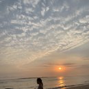 알라딘팜 이미지