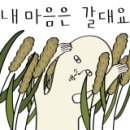 피자스쿨수완점 이미지