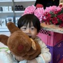 (주)스타맘 이미지