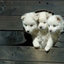 시민상가 이미지