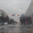 안중늘푸른약국 이미지