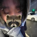 올스테이인 | 뚜왕뚜왕뚜왕뚜왕