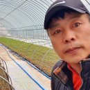 다복농장 이미지