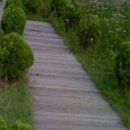 길따라행운 이미지