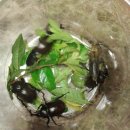 장수사슴목장 이미지