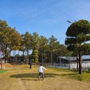 자연과 함께하는 하룻밤 | 인천 글램핑 가족여행 숲속에서 하룻밤 보내기 좋은 캠프노마드