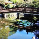 현내리 도원정사 이미지