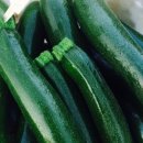 참존농장 이미지