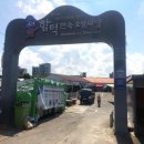 여기우다 이미지