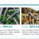 화순시외버스공용정류장 이미지
