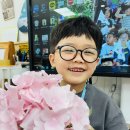 💛관음반💛 사라 선생님과 하는 영어&amp;물을 아끼는 방법💦&amp; 사고력 쑥쑥 창의수학&amp; 체육&amp; 색종이접기 이미지
