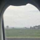 야옹하다 이미지