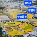 장씨비닐