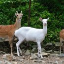 김성태 농장 이미지