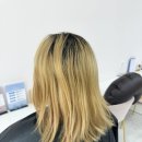 아라헤어 이미지