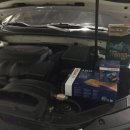 근화동 447-10 이미지