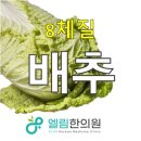 강서구-8 이미지