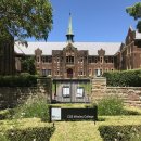 도그인 포레스트(Dog in forest) | 호주 시드니 여행: 뉴타운: 시드니 대학교, 주변 맛집