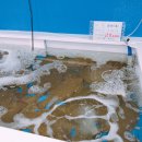 오창시장 이미지