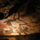 깐쵸네 애견서비스 이미지