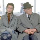 해설이있는영화감상 이미지