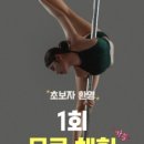스튜디오준 | 수원폴댄스 인생 핏 찾게 해준 "예폴스튜디오" 방문 후기