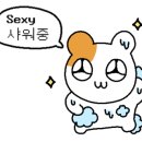 천마 하이파이브 수영장 이미지