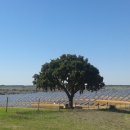 세운 태양광발전소 이미지