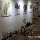 포시즌에이스투어 이미지