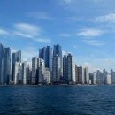 스카이라인 이미지