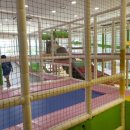 더본감자탕 이미지