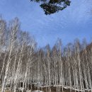 인공지능산업융합사업단지점
