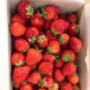 동그라미농장 이미지