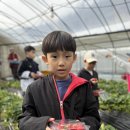 송라태권도 이미지