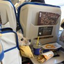 메리그루밍 | 양평 애견펜션 ‘메리도그하우스’ A동 후기