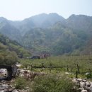 애플마루펜션 이미지