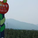 은비농장 이미지