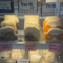 크럼피 | 대구 빵지순례 추천 피스타치오 쫀득빵 맛집 크럼키