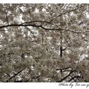 방천골목시장 이미지