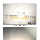 대덕대로4 이미지