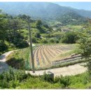 기일리 마을회관 이미지