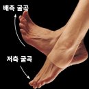 바론 골프 | 스쿼트할 때 허리 말린다면? 벗윙크(Butt Wink)자세 체크!_여의도 피티 헬스장 바론짐