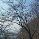 통일기원 미륵대불 | 설악산 국립공원에 있는 설악산 통일대불 직관후기