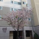 벽산블루밍음악학원 네이버블로그