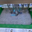 Starfish swim school 이미지