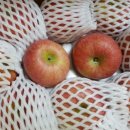 태경농원 이미지